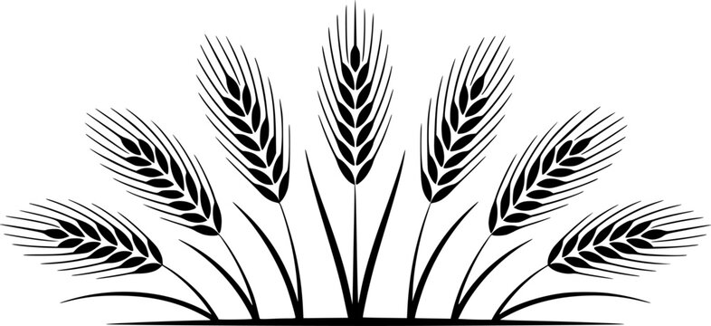 Una imagen minimalista en blanco y negro que presenta una disposici&oacute;n sim&eacute;trica de siete tallos de trigo