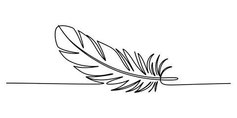 Continuous single line drawing of a bird feather isolated on a white background Vector, illustration © ARICK 