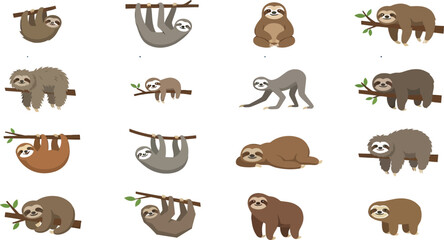 Set of flat vector sloth body type variations featuring various cute poses and physical characteristics on branches © KhadizaAkter