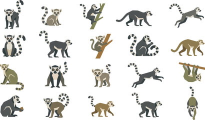 Set of lemur characters in flat vector style featuring various poses and movements for creative design projects © KhadizaAkter