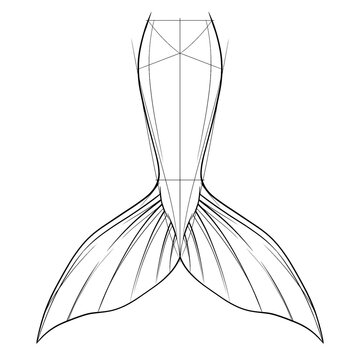 Hand drawn sketch of classic scale merman tail wide fanned fin isolated. Black line art illustration.