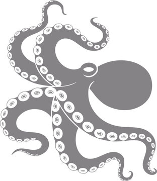 Una silueta gris minimalista de un pulpo con ventosas detalladas en sus tent&aacute;culos aislada sobre fondo blanco