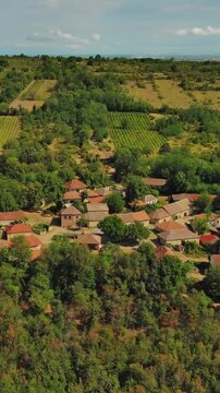 Aerial around view of old rustic vintage houses with wine cellars in Rogljevacke pivnice in Negotin region of Serbia. Vertical video 4k