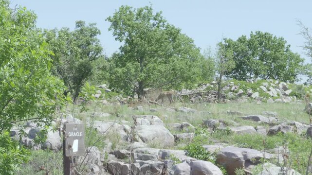 Pipestone National Monument preserving sacred stone quarry history