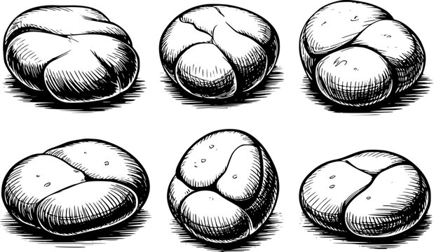 Una colecci&oacute;n de seis dibujos a mano en blanco y negro de varios panecillos redondos en un estilo vintage