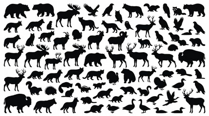 Obraz premium 100 North American Wildlife Animal Silhouettes | Black Image Wildlife Bundle