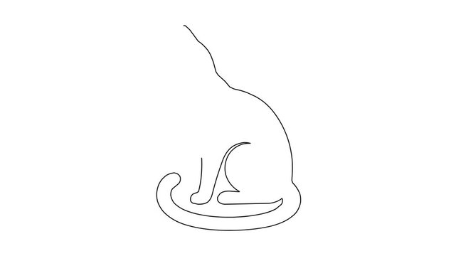 Minimalist continuous line drawing animation showing sitting cat silhouette forming on white background representing simple modern pet art style motion graphics clip for creative design projects.