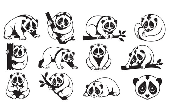 Set of cute slow loris monkeys in various poses