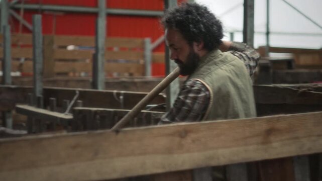 Male farmer in vest and plaid shirt tossing dry hay with pitchfork into wooden animal stall, performing daily maintenance of agricultural barn
