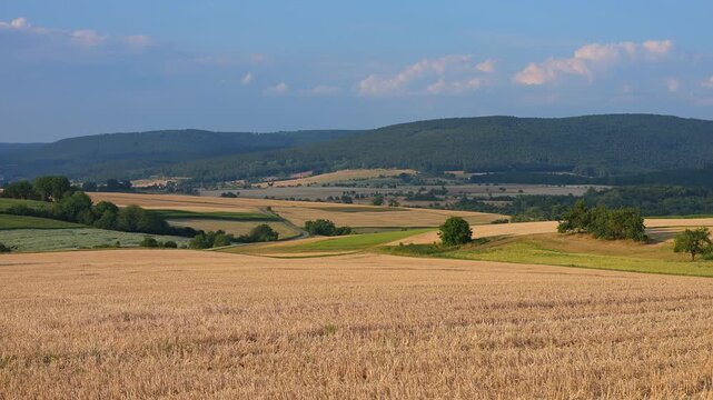 Felder erstrecken sich bis zum Horizont, unter einem blauen Himmel, Sommer, M&ouml;nchberg, Miltenberg, Spessart, Bayern, Deutschland