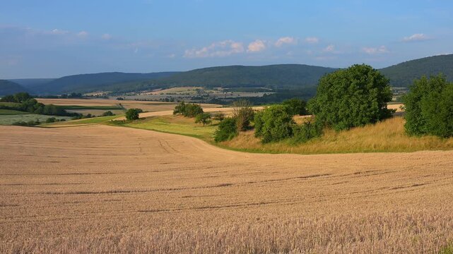 Felder erstrecken sich bis zum Horizont, unter einem blauen Himmel, Sommer, M&ouml;nchberg, Miltenberg, Spessart, Bayern, Deutschland