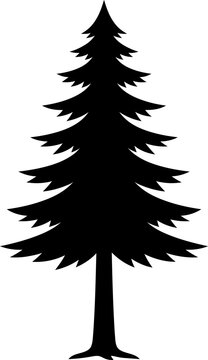 Vector illustration silhouette of a tall pine tree, evergreen forest and nature concept