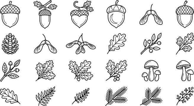 Autumn forest nature oak leaf acorn pine cone mushroom samara seed icon set vector illustration outline line art isolated