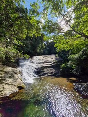 waterfall in the forest © Denise Miller