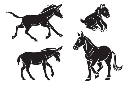 Four black horses galloping in motion sequence
