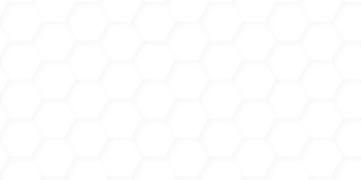 Vector abstract minimal white grid metal hexagon background. Embossed Hexagon, honeycomb white mosaic cell web light shadow texture wall decoration wallpaper design.	
