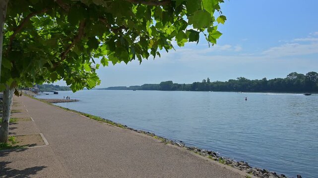 Malerische Flusspromenade, umgeben von B&auml;umen und sonnigem Wetter, Rhein, Eltville am Rhein, Rheingau, Hessen, Deutschland