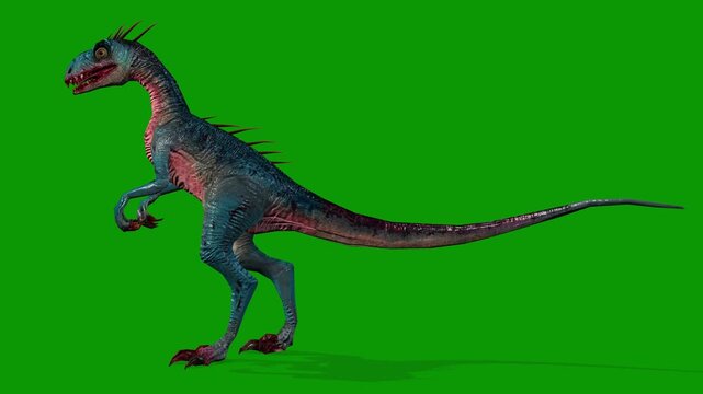 Dinosaur Raptor idle Scene From Left Side 3D Render Animation on Green Screen