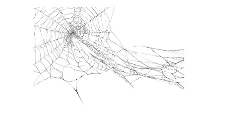 Obraz premium Left Cluster Spider Web Sketch Illustration, Hand Drawn Cobweb Line Art with Spreading Wispy Threads Isolated on White Background, Black and White Ink Drawing of Web Pattern for Halloween Design