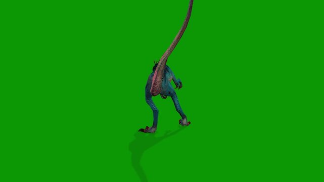 Dinosaur Raptor Eating  Scene From Back Side 3D Render Animation on Green Screen