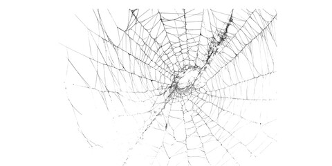Obraz premium Intricate Spider Web Sketch Illustration, Hand Drawn Detailed Circular Cobweb Line Art Isolated on White Background, Black and White Ink Drawing of Fine Radial Web Threads for Halloween Design