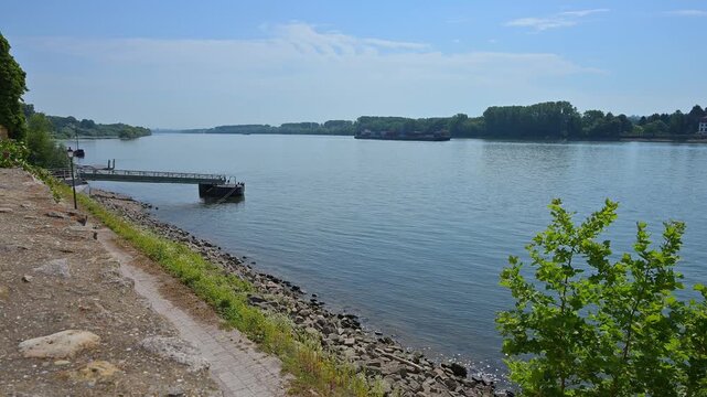 Ruhiges Flussufer mit Steg und B&auml;umen, klarer Himmel und sanfte Wolken, Rhein, Eltville am Rhein, Rheingau, Hessen, Deutschland