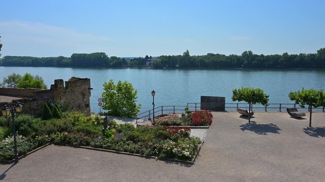 Flusspromenade mit Blumenbeeten und Blick &uuml;ber den Fluss unter strahlend blauem Himmel, Eltville am Rhein, Rheingau, Hessen, Deutschland 