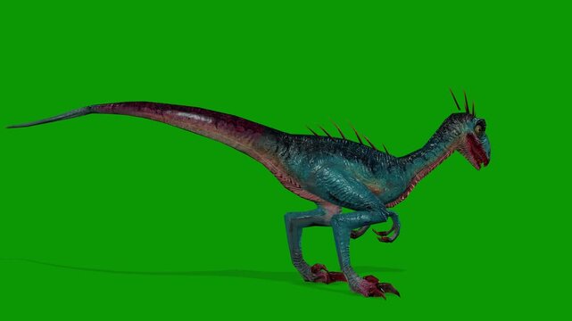 Raptor Catching Food Scene Right Side 3D Render Animation on Green Screen