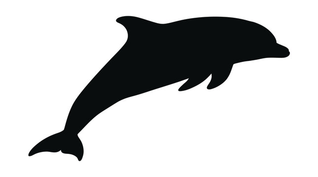 Leaping Dolphin Silhouette Against A White Background Silhouette