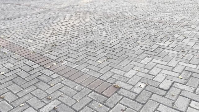 Wet interlocking concrete paving blocks on public street surface