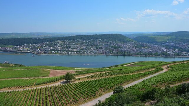 Eine malerische Landschaft mit Weinbergen, einem Fluss und einer entfernten Stadt unter einem klaren blauen Himmel, Rhein, Bingen am Rhein, Rheingau, Hessen, Deutschland
