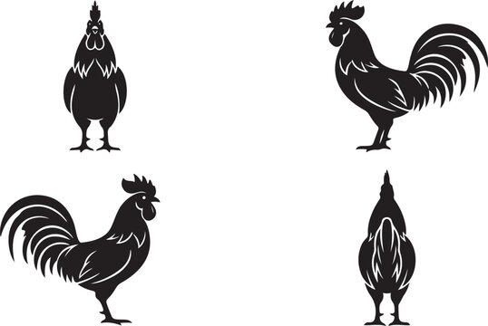 Set of four rooster silhouettes in various poses with livestock silhouette collection cockerel