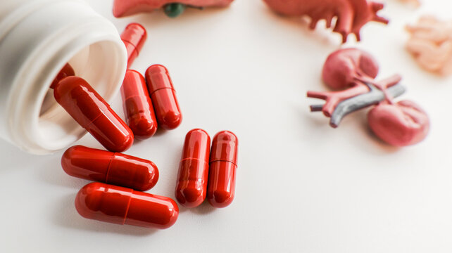 Red capsules spilling from a white bottle onto a white surface with anatomical models