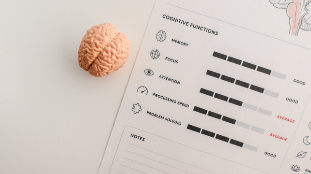Cognitive functions assessment with brain model and progress bars