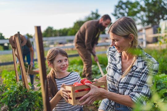 Happy farmers or gardeners working outdoors at community farm.