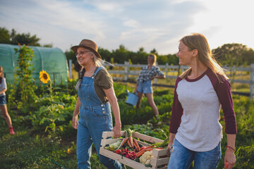 Obraz premium Two female farmers carrying crate full of fresh vegetables from garden harvest.