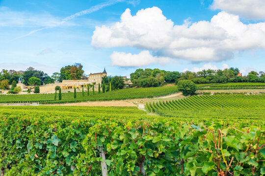 Historic wine estate overlooking green vineyard hills in Saint Emilion, Bordeaux, France. French rural architecture, vineyard tourism, cultural heritage, premium winemaking and agricultural landscape