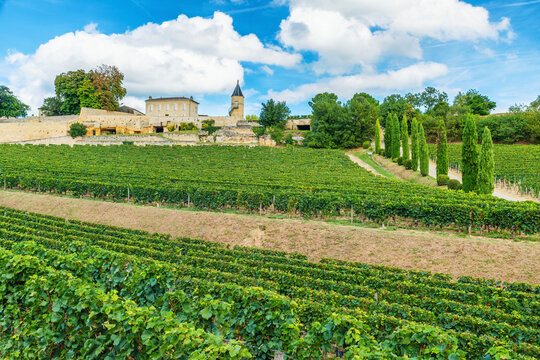 Vineyard landscape in Saint Emilion with historic chateau, rolling hills and lush grapevines, Bordeaux, France. French rural architecture, vineyard tourism and traditional agricultural landscapes