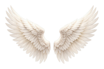 Fototapeta premium PNG Elegant white angel wings on a white background.