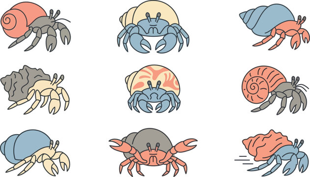 Detailed flat vector illustration set of various hermit crabs with different colorful shells and body poses