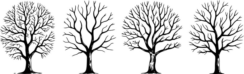 Fototapeta premium A collection of four hand drawn black and white tree illustrations isolated on a plain white background for design