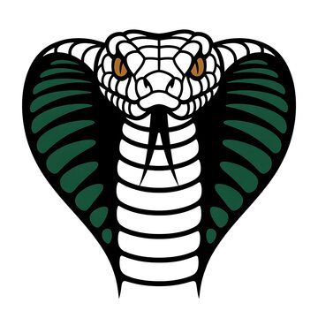 Of a king cobra snake head with a flared hood, featuring black, white, and green scales, isolated on a white background