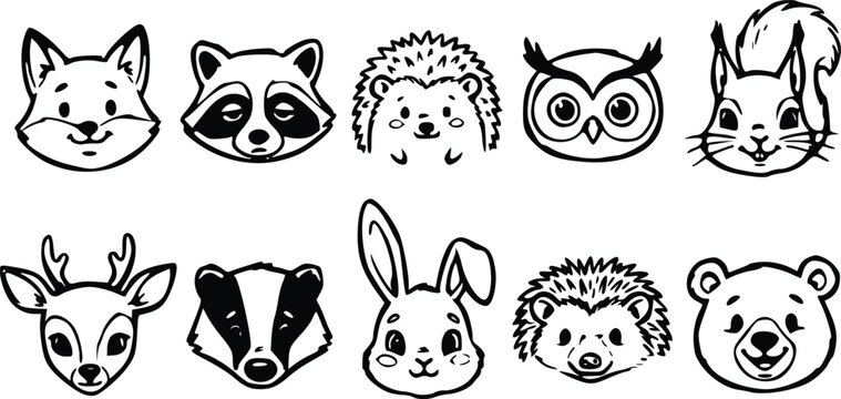 Set of cute forest animal head icons featuring a fox raccoon hedgehog owl squirrel deer badger rabbit and bear in a simple black ink sketch style