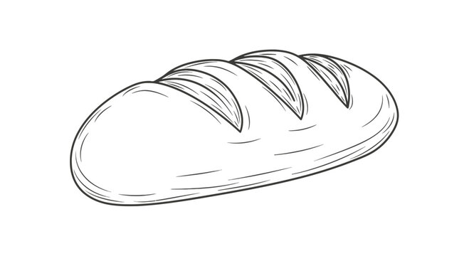 Fresh loaf of bread line art illustration