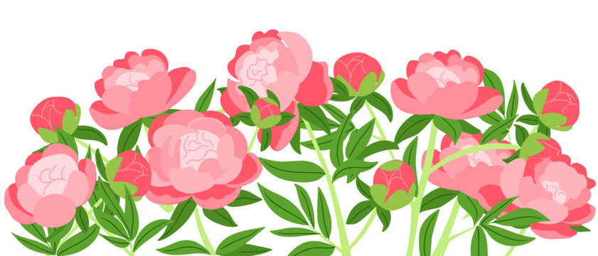 Illustration of pink peonies with green leaves arranged in a decorative pattern on a white background, showcasing floral beauty and design elements
