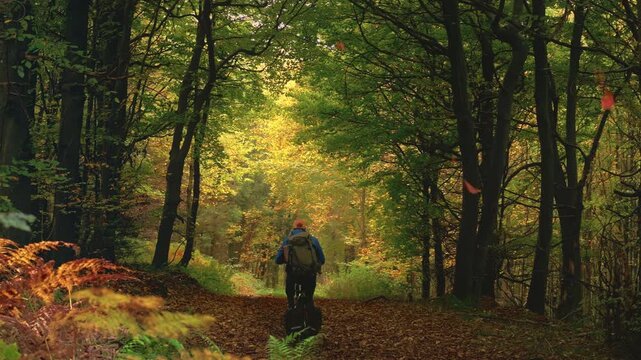 Cycling in a picturesque forest with falling leaves in autumn, a panning lifestyle shot of a leisure activity in nature.
