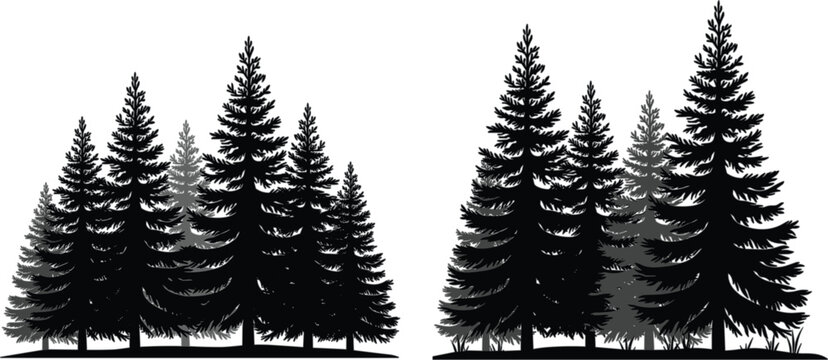 Evergreen pine forest silhouette collection, conifer tree landscape vector illustration isolated on white background for natural scenery