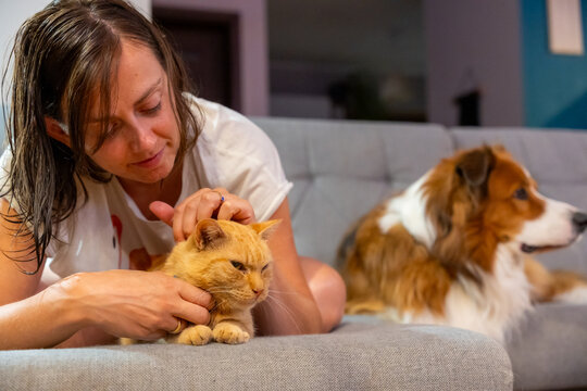 Woman Petting Ginger Cat On Sofa With Dog At Home During Cozy Pet Care And Animal Companionship