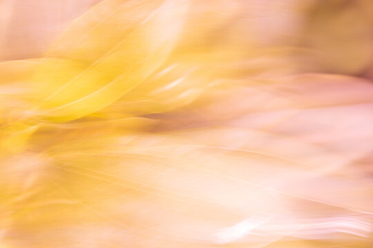 Abstract earth tone motion blur fine art background