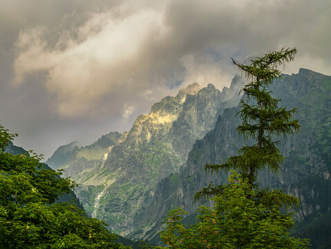 Majestic Rocky Peaks of High Tatras Mountains Looming Behind Green Alpine Forest in Slovakia
